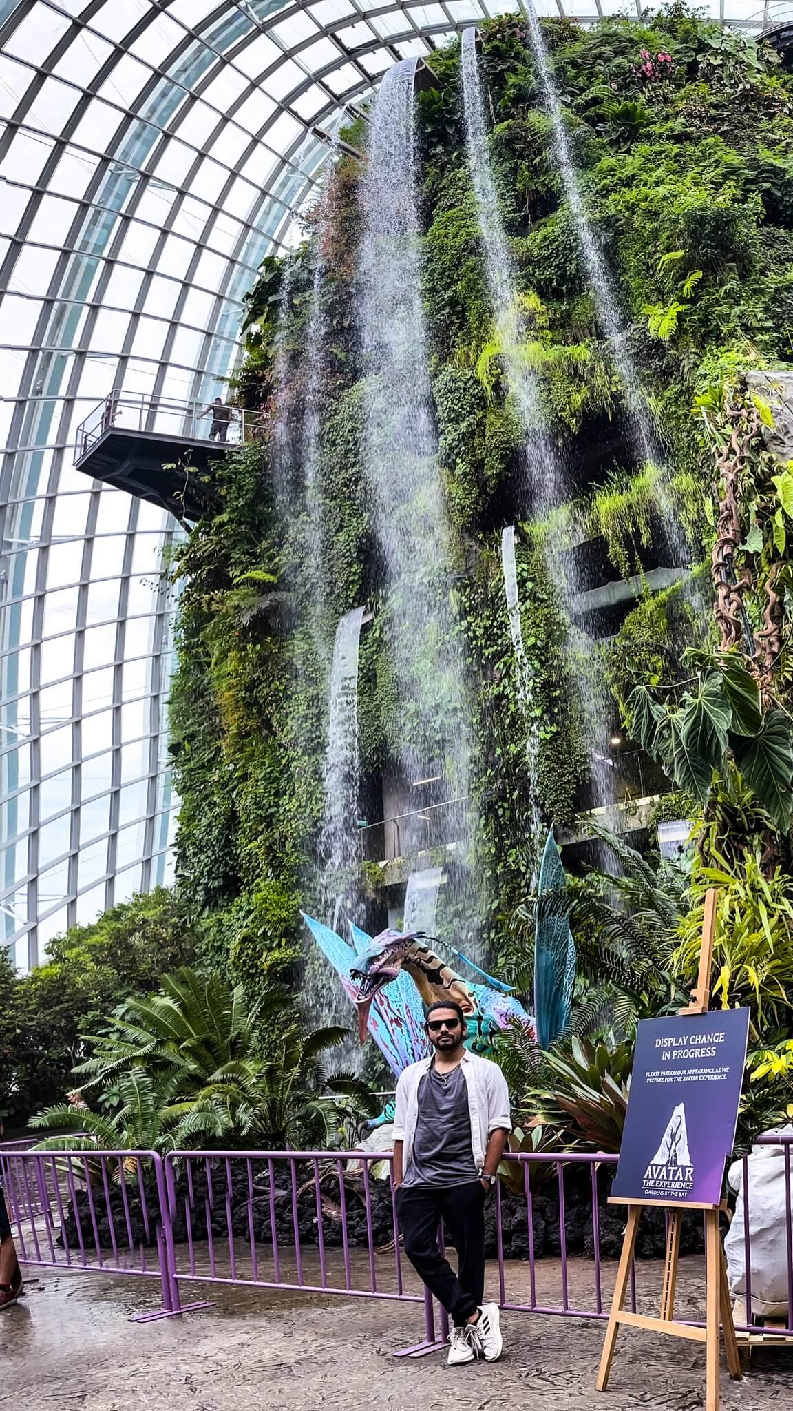 cloud_forest_waterfall
